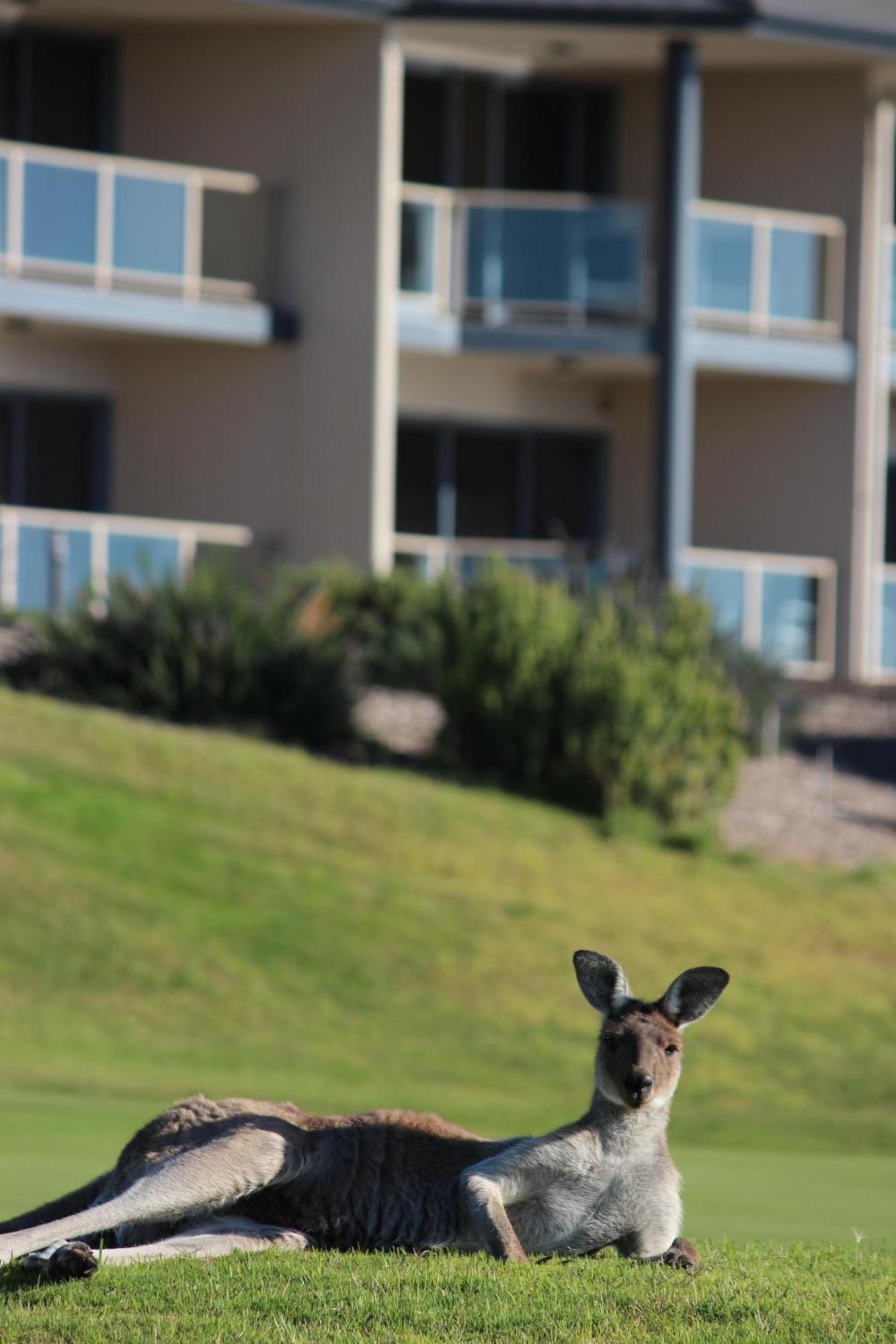 Lady Bay Hotel Normanville Buitenkant foto