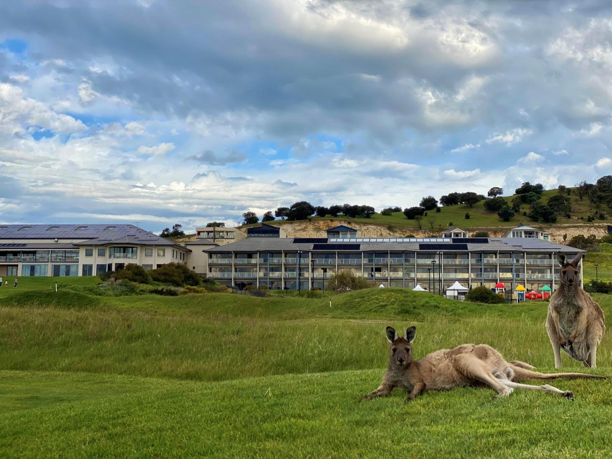 Lady Bay Hotel Normanville Buitenkant foto